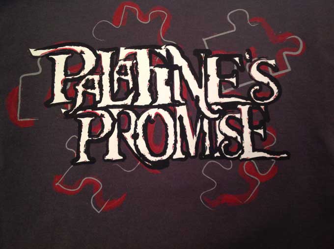 Palatines+PROMISE++began+holding+extended+homeroom+to+teach+their+lessons.