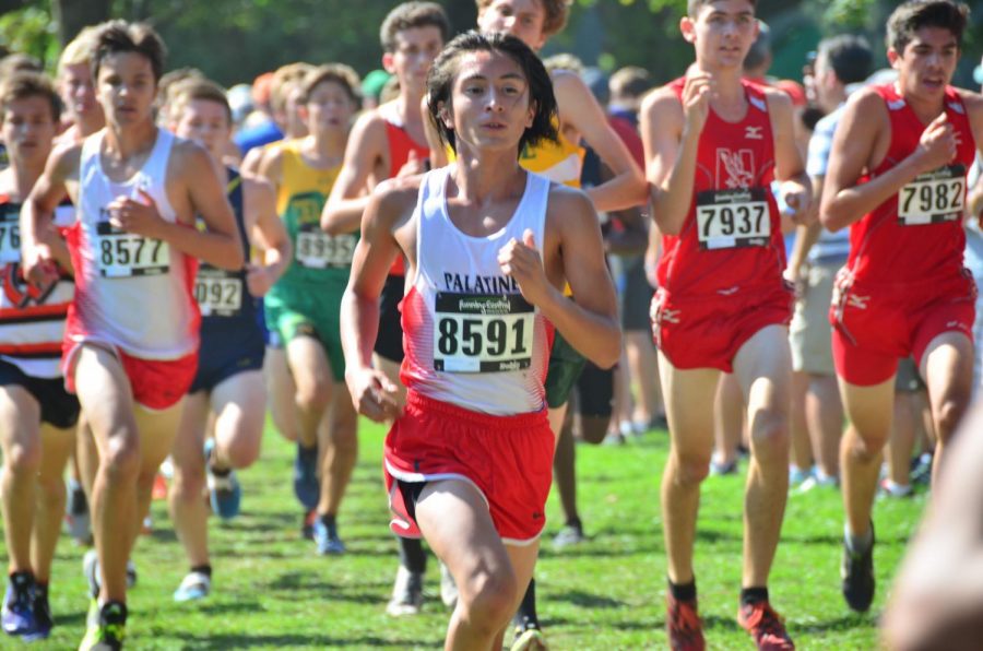Boys cross country scores top 11 in state-level meet