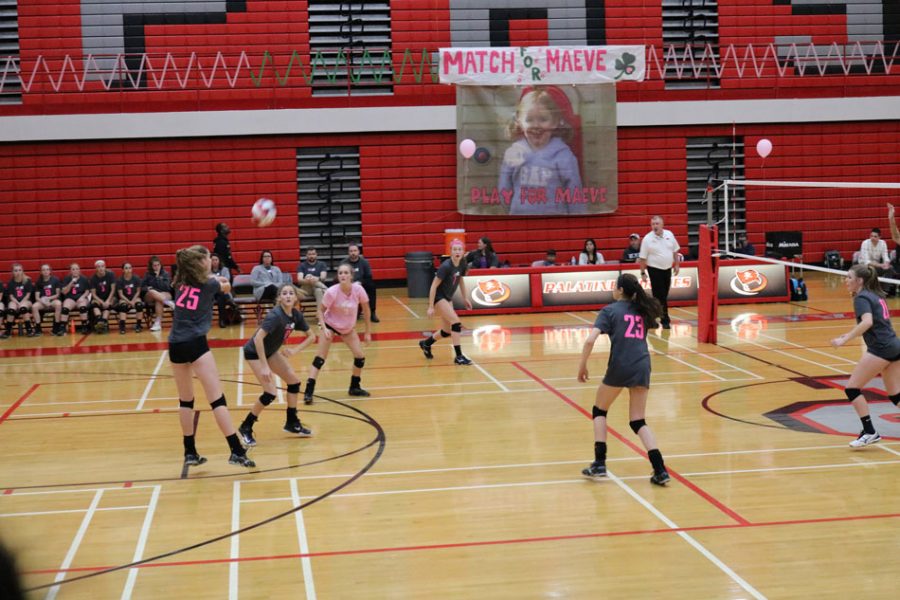 The Palatine and Fremd volleyball teams will join together to help fight pediatric brain tumors by raising money for the Maeve McNicholas Memorial Foundation.