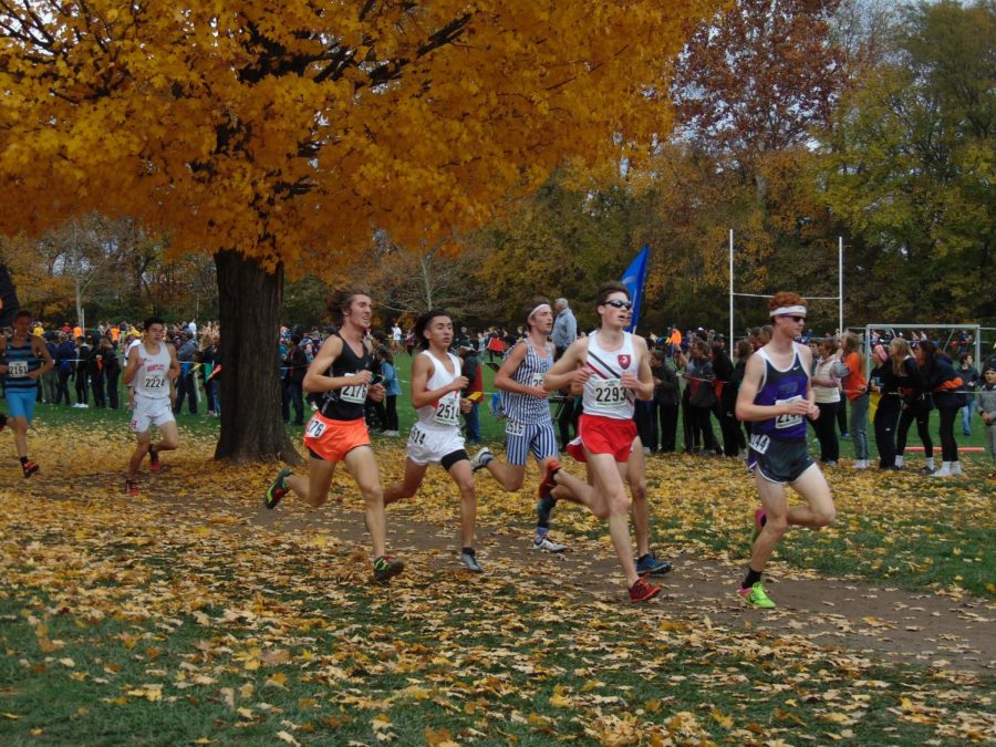 Palatine junior Richard Jacobo ranks 23rd overall in  the IHSA Boys 3A State Cross Country Final.