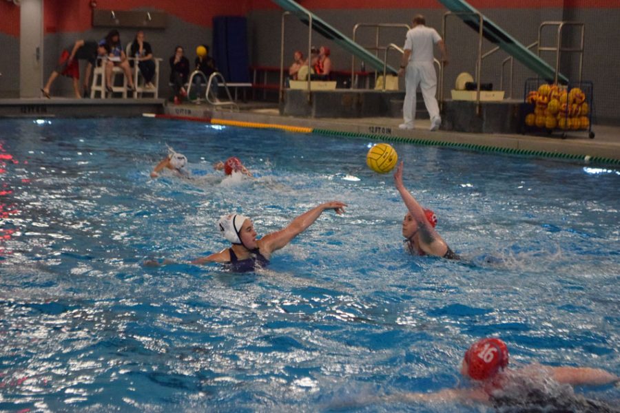 Slideshow%3A+Girls+waterpolo