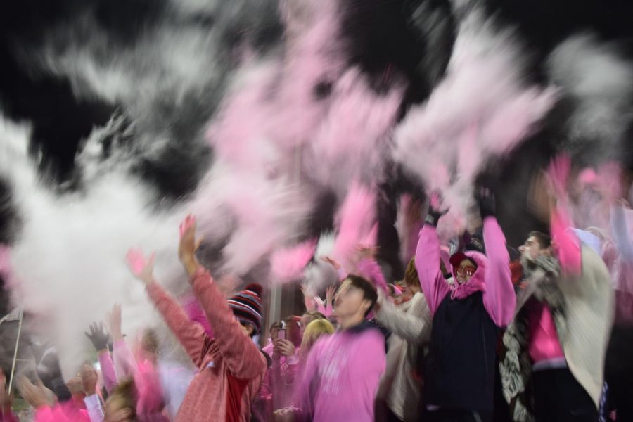 Palatine Pink Out is a success