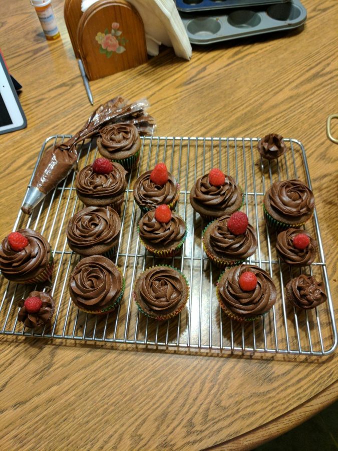 PHS Junior Melanie Reidel tried new cupcake recipes and decorations.