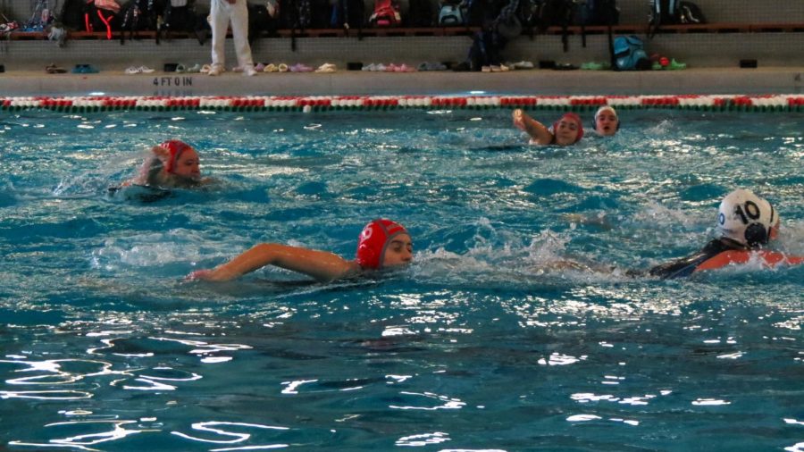 PHS hosted a total of eight schools from the Illinois area for their Palatine water polo tournament.