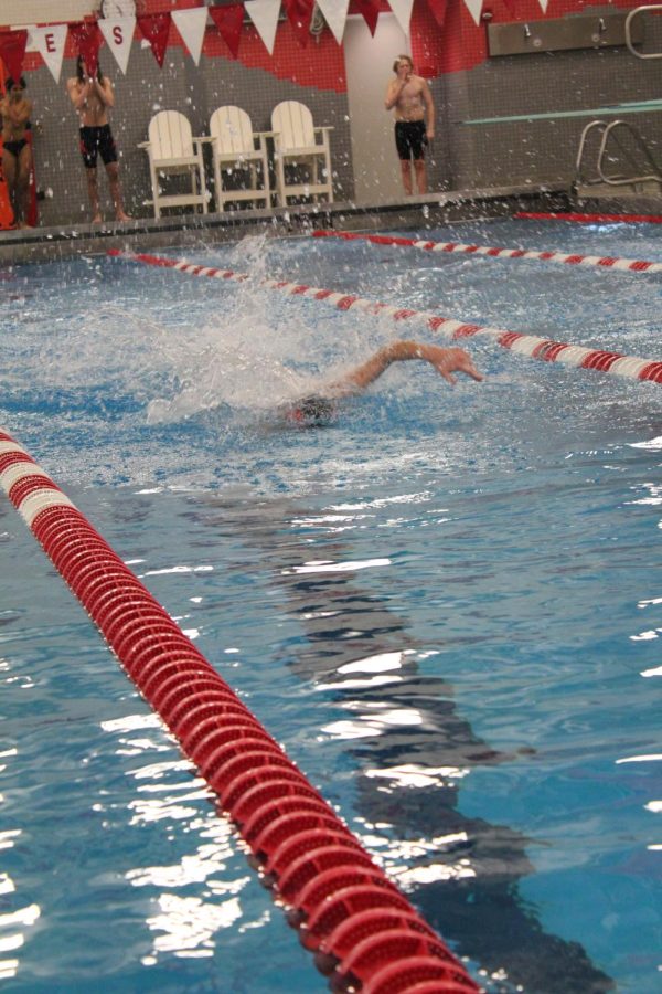 A swimmmer competes to reach the end of the land before any of their competitors.