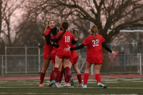Palatine cheering after Paige Millstone (#7) makes a goal on the Hersey goalkeeper. 