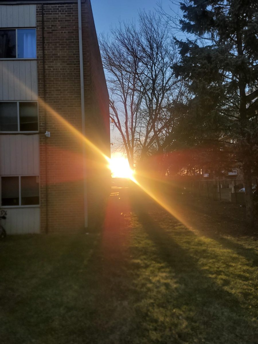 Capturing the “Palatinehenge,” at the Ports-O-Call complex. The sun is aligned with the direction at which this picture was taken.